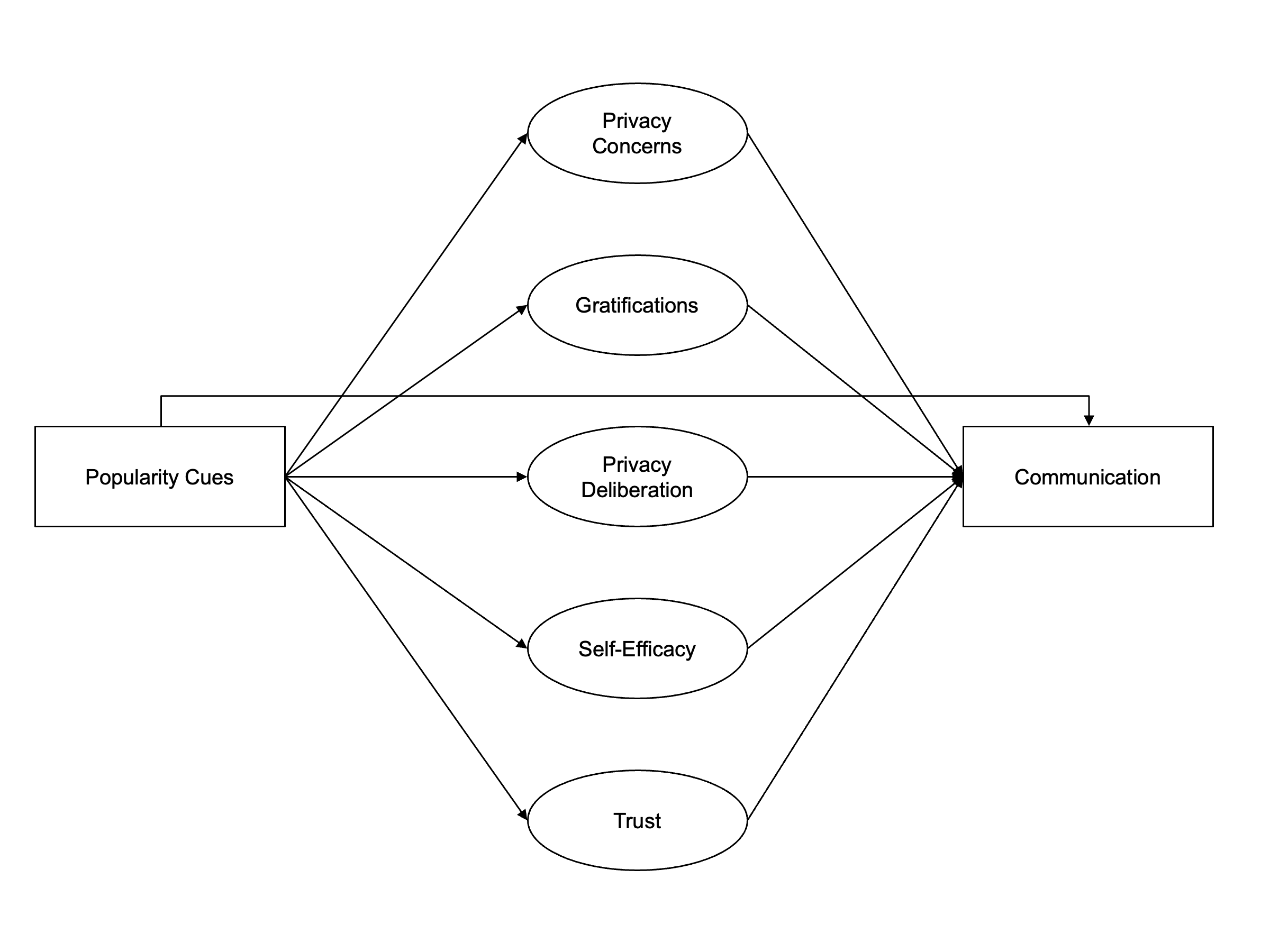 Overview of the extended privacy calculus model.